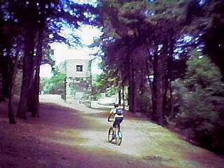 HS rolando...