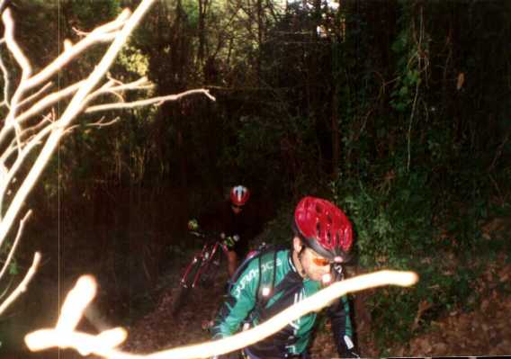 FS nos trilhos da Serra de Sintra