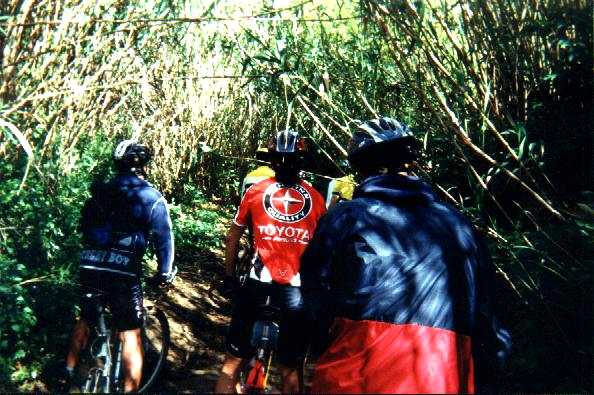 Afinal nos single-tracks tamb�m existem engarrafamentos...
