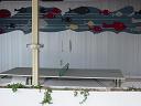 outdoor ping pong--dolla billz!