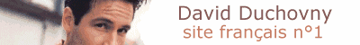 David Duchovny Le Web De Ses Fans (Special Recognition)