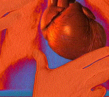 hearthome2.gif (91065 bytes)