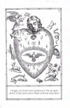 third.gif (503959 bytes)