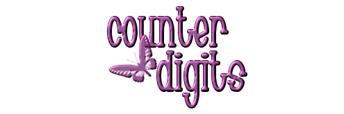 Counter Digits