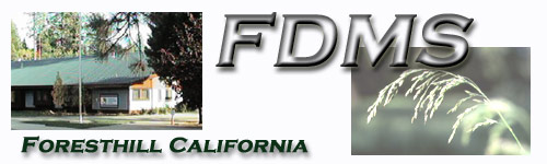fdms.jpg (25397 bytes)