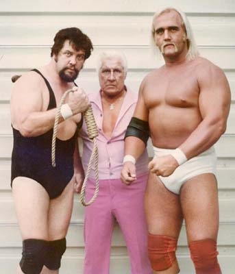 Did Hulk Hogan Really Have 24 Arms Page 2 Bodybuilding Com