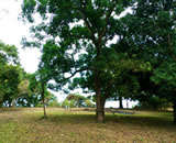 banahaw
