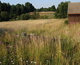 wiesenburg park