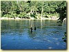 image016.jpg