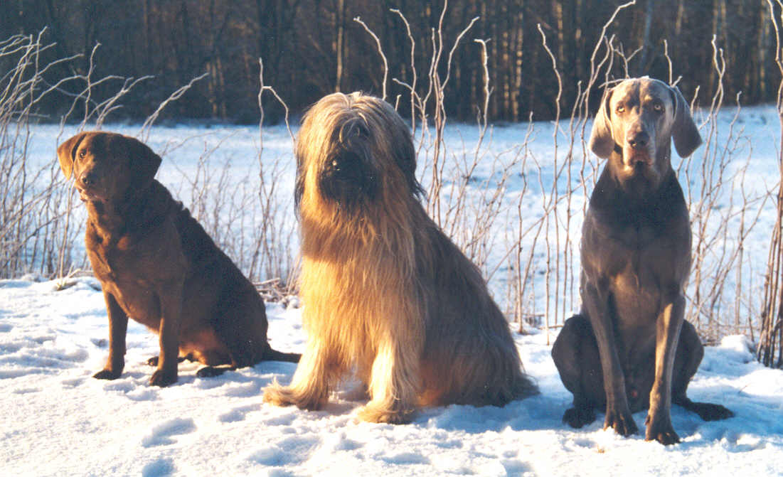 Frasse, Galba, Laban feb 2005