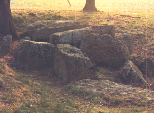Megalithic tomb Wris 2 / Hunebed Wris 2 / Dolmen de Wris 2 / Grosteingrab Wris 2 / Tumba megaltica Wris 2