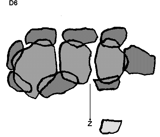 Hunebed D6 bij Tynaarlo (Hunebedstraat), gemeente Tynaarlo / Gro�steingrab D6 bei Tynaarlo, Gemeinde Tynaarlo / All�e couverte D6 chez Tynaarlo, commune de Tynaarlo / Tumba megal�tica D6 cerca de Tynaarlo, municipio de Tynaarlo