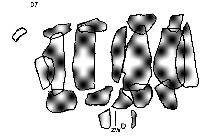Hunebed D7 bij Schipborg (bos De Strubben) / Gro�steingrab D7 bei Schipborg, Gemeinde Anloo / All�e couverte D7 chez Schipborg, commune d'Anloo / Tumba megal�tica D7 cerca de Schipborg, municipio de Anloo