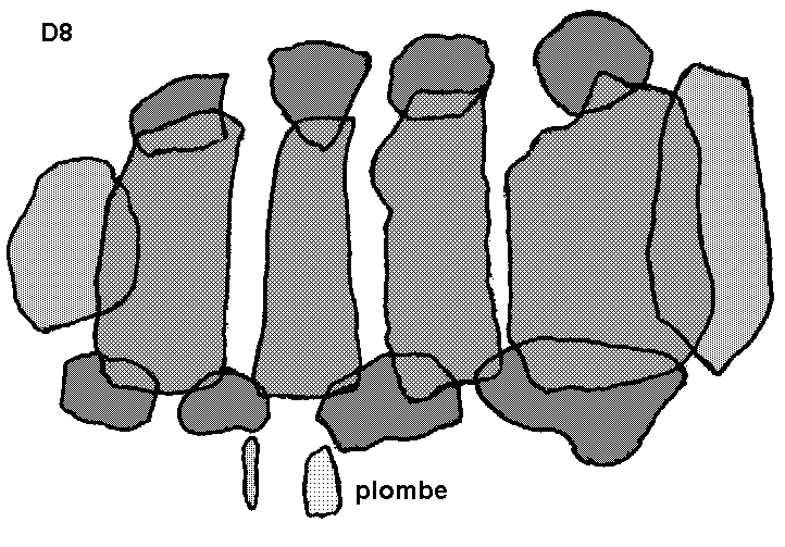 Hunebed D8 bij Anloo (Kniphorstbos), gemeente Anloo / Gro�steingrab D8 bei Anloo, Gemeinde Anloo / All�e couverte D8 chez Anloo, commune d'Anloo / Tomba megal�tica D8 cerca de Anloo, municipio de Anloo