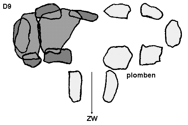 Hunebed D9 in Annen (Noordloo, Zuidlaarderweg), gemeente Anloo / Gro�steingrab D9 in Annen, Gemeinde Anloo / All�e couverte D9 � Annen, commune d'Anloo / Tumba megal�tica D9 a Annen, municipio de Annen