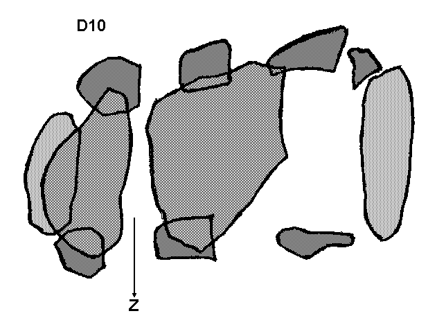 Hunebed D10 bij Gasteren (Gasterse Duinen), gemeente Anloo / Gro�steingrab D10 bei Gasteren, Gemeinde Anloo / All�e couverte D10 chez Gasteren, commune d'Anloo / Tumba megal�tica D10 cerca de Gasteren, municipio de Anloo