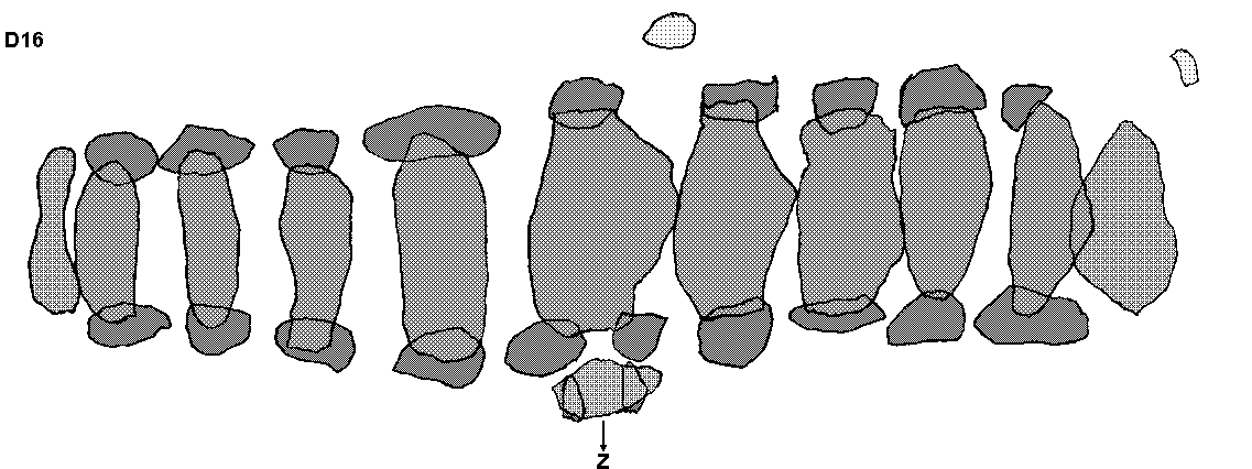 Hunebed D16 bij Balloo (Balloo�r es), gemeente Rolde / Gro�steingrab D16 bei Balloo, Gemeinde Rolde / All�e couverte D16 chez Balloo, commune de Rolde / Tumba megal�tica D16 cerca de Balloo, municipio de Rolde