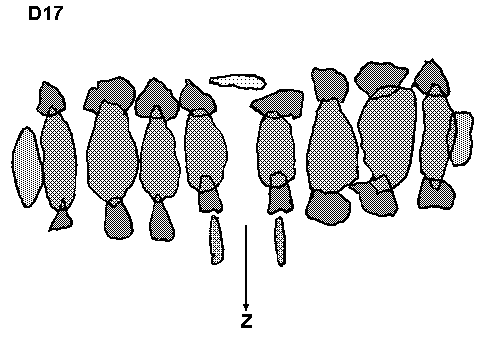 Hunebed D18 bij Rolde (Noorder es-Zuid), gemeente Rolde / Gro�steingrab D18 bei Rolde, Gemeinde Rolde / All�e couverte D18 chez Rolde, commune de Rolde / Tumba megal�tica D18 cerca de Rolde, municipio de Rolde