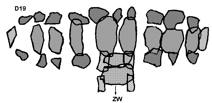 Hunebed D19 bij Drouwen (Steenhopenweg), gemeente Borger / Gro�steingrab D19 bei Drouwen, Gemeinde Borger / All�e couverte D19 chez Drouwen, commune de Borger / Tumba megal�tica D19 cerca de Drouwen, municipio de Borger