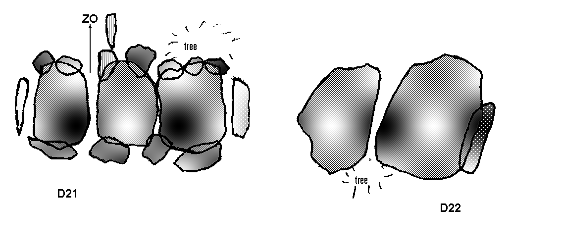 Hunebedden D21+D22 bij Bronneger, gemeente Borger / Gro�steingr�ber D21+D22 bei Bronneger, Gemeinde Borger / All�es couvertes D21+D22 chez Bronneger, commune de Borger / Tumbas megal�ticas D21 y D22 cerca de Bronneger, municipio de Borger