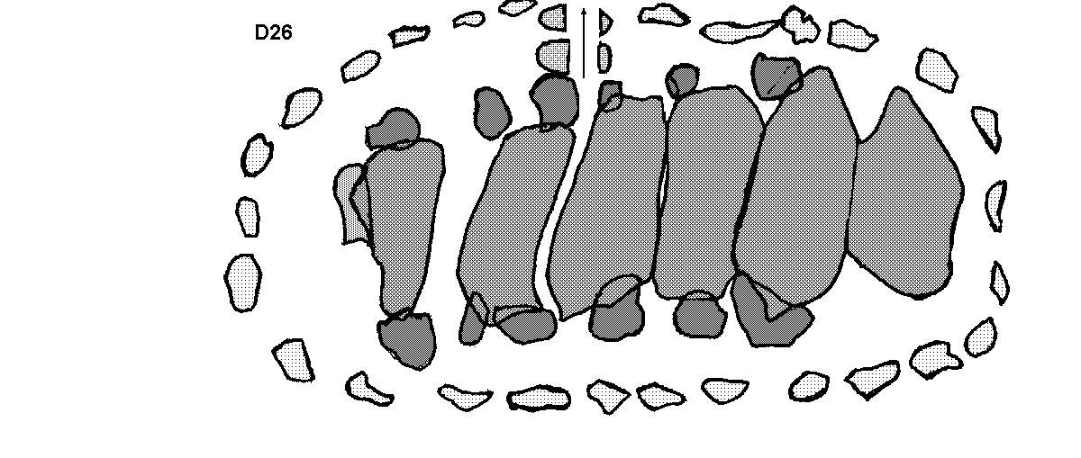 Hunebed D26 bij Drouwen (Drouwenerveld, boswachterij Borger vak 63), gemeente Borger / Gro�steingrab D26 bei Drouwen, Gemeinde Borger / All�e couverte D26 chez Drouwen, commune de Borger / Tumba megal�tica D26 cerca de Drouwen, municipio de Borger