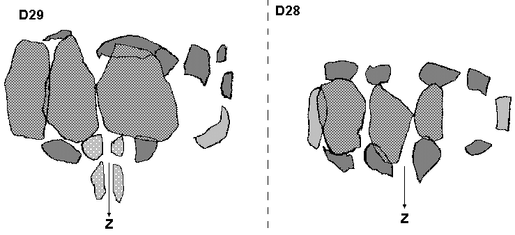 Hunebedden D28+D29 bij Buinen (Buinerstraat), gemeente Borger / Gro�steingr�ber D28+D29 bei Buinen, Gemeinde Borger / All�es couvertes D28+D29 chez Buinen, commune de Borger / Tumbas megal�ticas D28 y D29 cerca de Buinen, municipio de Borger