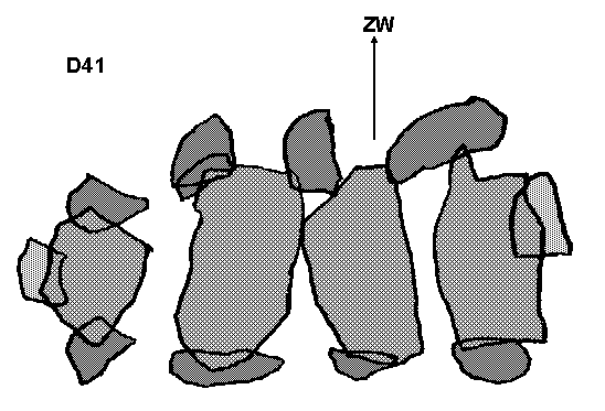 Hunebed D41 bij Emmen (Noord-es), gemeente Emmen / Gro�steingrab D41 bei Emmen, Gemeinde Emmen / All�e couverte D41 chez Emmen, commune d'Emmen / Tumba megal�tica D41 cerca de Emmen