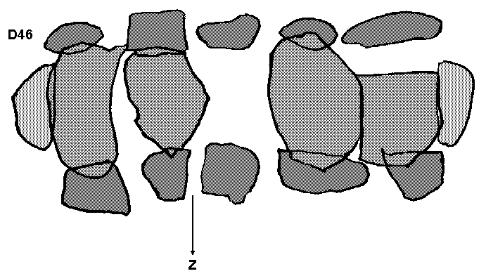 Hunebed D46 in Emmen (Fokkingeslag), gemeente Emmen / Gro�steingrab D46 in Emmen, gemeinde Emmen / All�e couverte D46 � Emmen, commune d'Emmen / Tumba megal�tica D46 en Emmen, municipio de Emmen