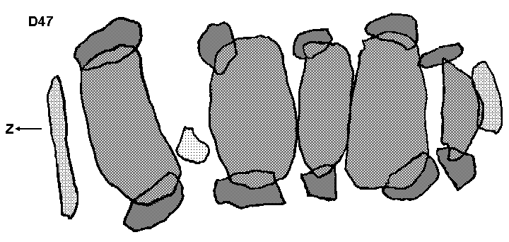 Hunebed D47 in Emmen (Angelsloo Haselackers), gemeente Emmen / Gro�steingrab D47 in Emmen, Gemeinde Emmen / All�e couverte D47 � Emmen, commune d'Emmen / Tumba megal�tica D47 en Emmen, municipio de Emmen