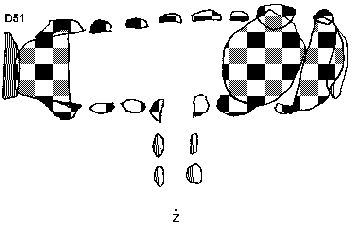 Hunebed D51 bij Noord-Sleen (Achter-es), gemeente Sleen / Gro�steingrab D51 bei Noord-Sleen, Gemeinde Sleen / All�e couverte D51 chez Noord-Sleen, commune de Sleen / Tumba megal�tica D51 cerca de Noord-Sleen, municipio de Sleen