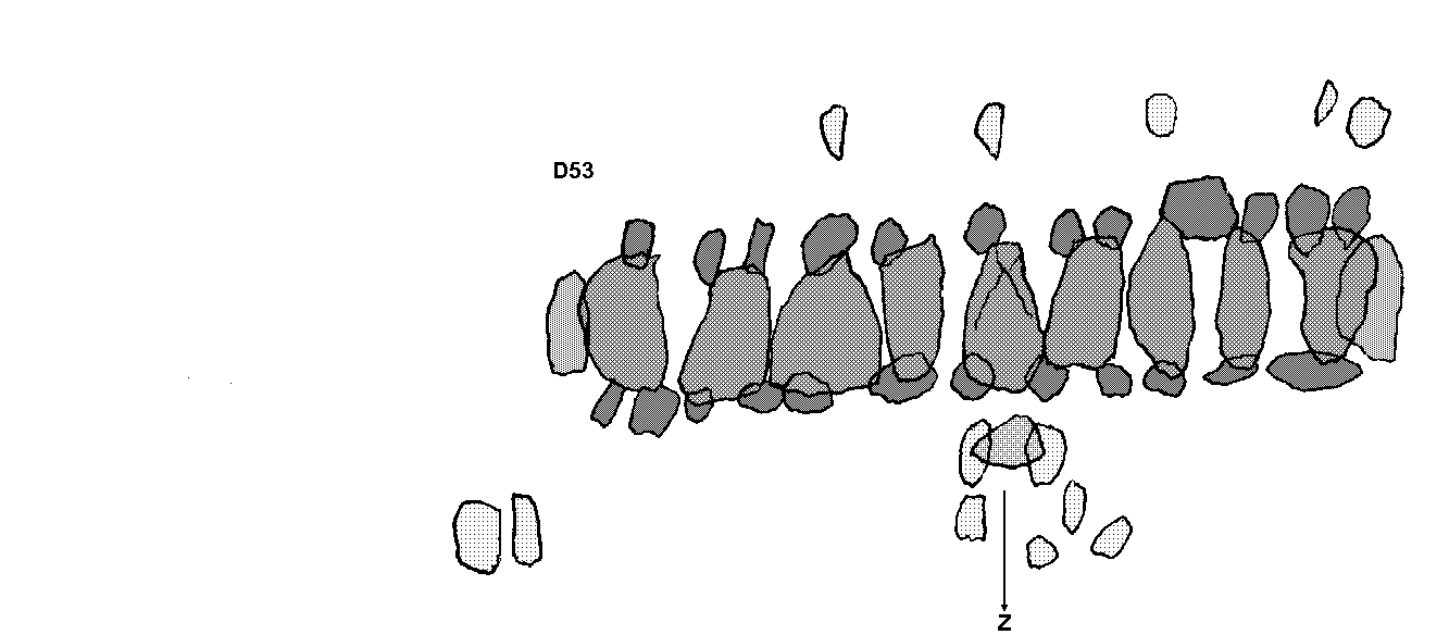 Hunebed D53 bij Havelte (Havelterberg), gemeente De Wolden / Gro�steingrab D53 bei Havelte, Gemeinde De Wolden / All�e couverte D53 chez Havelte, commune de De Wolden / Tumba megal�tica D53 cerca de Havelte, municipio de De Wolden