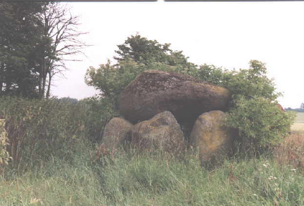 J�ttestue i Danmark / Gro�steingrab in D�nemark / Hunebed in Denemarken /&nbsp; Dolmen dans le Danemarc / Dolm�n en Dinemarca