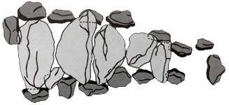 Gro�steingrab Haltern, Niedersachsen / Hunebed Haltern, Neder-Saksen / All�e couverte de Haltern, Basse-Saxe / Tumba megal�tica de Haltern, Sajonia Baja