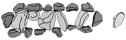 Gro�steingrab Ostenwalde / Hunebed Ostenwalde / All�e couverte d'Ostenwalde / Tumba megal�tica de Ostenwalde