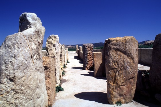 dolmen Alberite 1 at Villamart�n / dolmen Alberite 1 � Villamart�n / hunebed Alberite 1 in Villamart�n / Dolmen Alberite 1 in Villamart�n / dolm�n Alberite 1 en Villamart�n