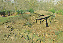 dolmen of Chan-da-Arquia / hunebed van Chan-da-Arquia / Dolmen von Chan-da-Arquia / dolmn de Chan-da-Arquia