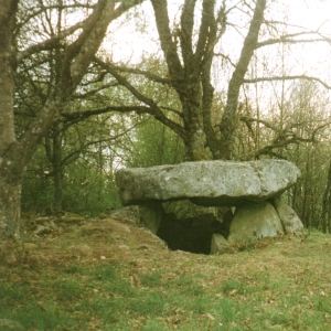 Dolmen de Planchat, D�p. Creuse / hunebed van Planchat / Dolmen von Planchat / dolm�n de Planchat