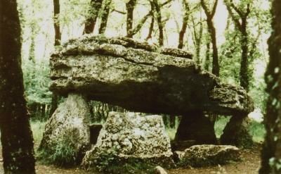 Dolmen de Saint-Saviol, D�p. Vienne, dit Pierre-P�se / Hunebed van Saint-Saviol / Dolmen von Saint-Saviol / Dolm�n de Saint-Saviol