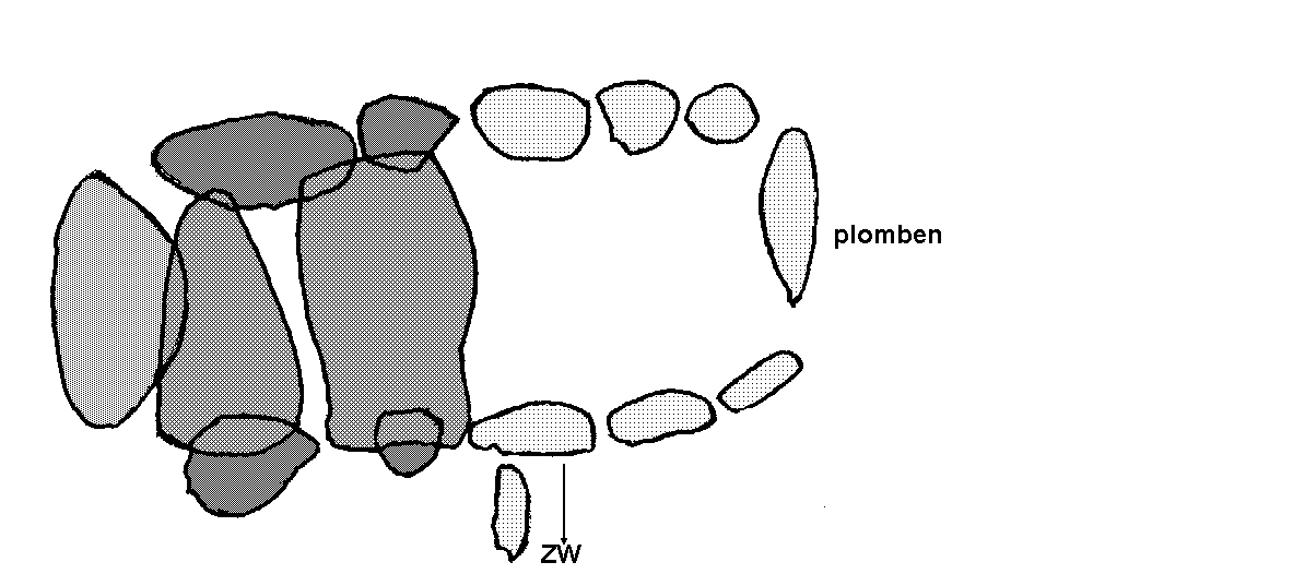 Hunebed G1 bij Noordlaren (Noordlaarder es), gemeente Haren / Gro�steingrab G1 bei Noordlaren, Gemeinde Haren / All�e couverte G1 chez Noordlaren, commune de Haren / Tumba megal�tica G1 cerca de Noordlaren, municipio de Haren