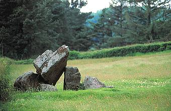 dolmen Gaer Llwyd en Gwent Llangwm chez Chepstow, Wales / hunebed Gaer Llwyd bij Chepstow, Wales / Dolmen Gaer Llwyd bei Chepstow, Wales / dolmn de Gaer Llwyd cerca de Chepstow, Wales