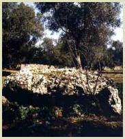 Dolmen de Gurdulante chez Melendugno / Hunebed van Gurdulante bij Melendugno / Dolmen von Gurdulante bei Melendugno / Dolm�n de Gurdulante cerca de Melendugno