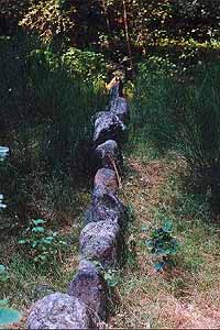 Dolmen de Poganice / Hunebed van Poganice / Dolmen von Poganice / Dolm�n de Poganice