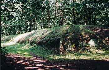 Dolmen de Wietrzychowice chez Izbica Kujawska / Grafheuvel van Wietrzychowice bij Izbica Kujawska / Grabh�gel von Wietrzychowice bei Izbica Kujawska / La tumba megal�tica de Wietrzychowice cerca de Izbica Kujawska