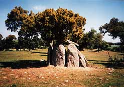 anta da Comenda Grande entre S�o Geraldo y Sabugueiro / dolmen de la Comenda Grande entre S�o Geraldo et Sabugueiro / hunebed van de Comenda Grande tussen S�o Geraldo en Sabugueiro / Dolmen von der Comenda Grande zwischen S�o Geraldo und Sabugueiro