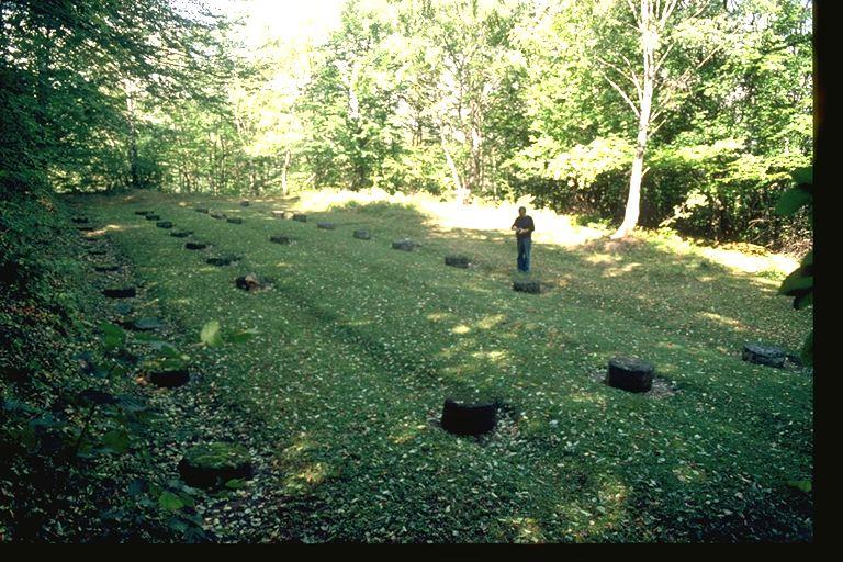Steinenring Costesti im Jahre 1993 / Cercle de pierres Costesti en 1993 / Steencirkel Costesti in 1993 / anillo de piedras Costesti en 1993 �Clive Ruggles