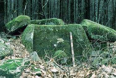 dolmen no. 3 du groupe Wolf Rock sur la rive de la rivi�re Ashe chez Lazarevskaja dans le R�gion Sochi / hunebed nr. 1 van de Wolf Rock-groep op de rivieroever van de Ashe bij Lazarevskaja in de regio Sochi / Dolmen Nummer 3 der Wolf Rock Gruppe am Flu�ufer der Ashe nahe Lazarevskaja, in der Region Sochi / dolm�n no. 3 del gruppo Wolf Rock de la orilla de Ashe cerca de Lazarevskaja en el r�gion Sochi