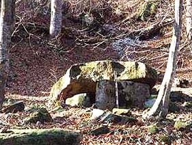 Groupe de Wolf Rock Dolmen no. 9 / hunebed nr. 9 van de Wolf Rock Groep / Dolmen Nummer 9 der Wolf Rock Gruppe / dolm�n no. 9 del Gruppo Wolf Rock /