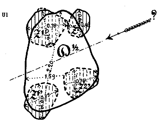 Dubieus hunebed U1 in Lage Vuursche, gemeente Baarn / Zweifelhaftes Gro�steingrab U1 in Lage Vuursche, Gemeinde Baarn / Dolmen dubieuse U1 � Lage Vuursche, commune de Baarn / Dolmen dudoso U1 en Lage Vuursche, municipio de Baarn