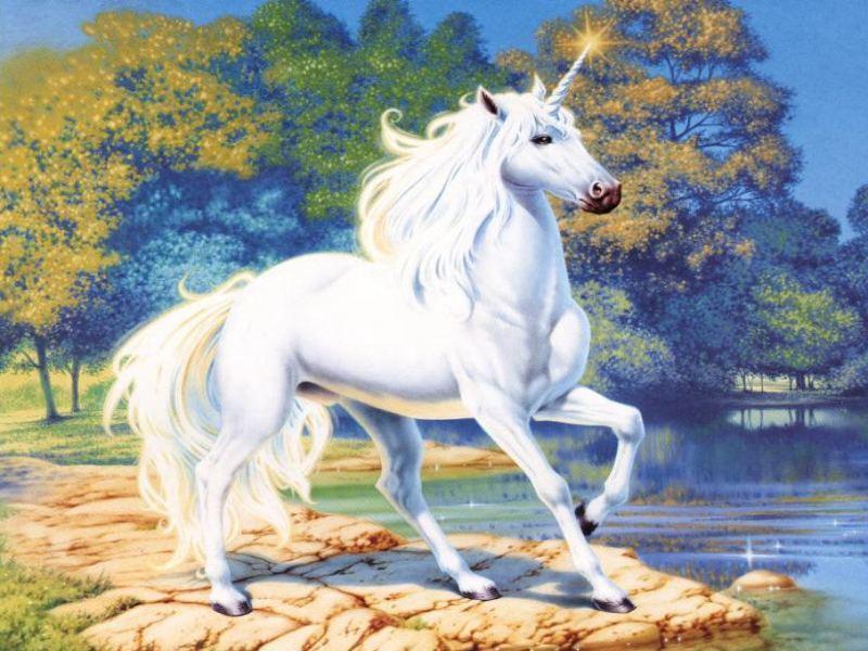 White unicorn