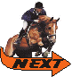 Learn About Hunter Shows and More